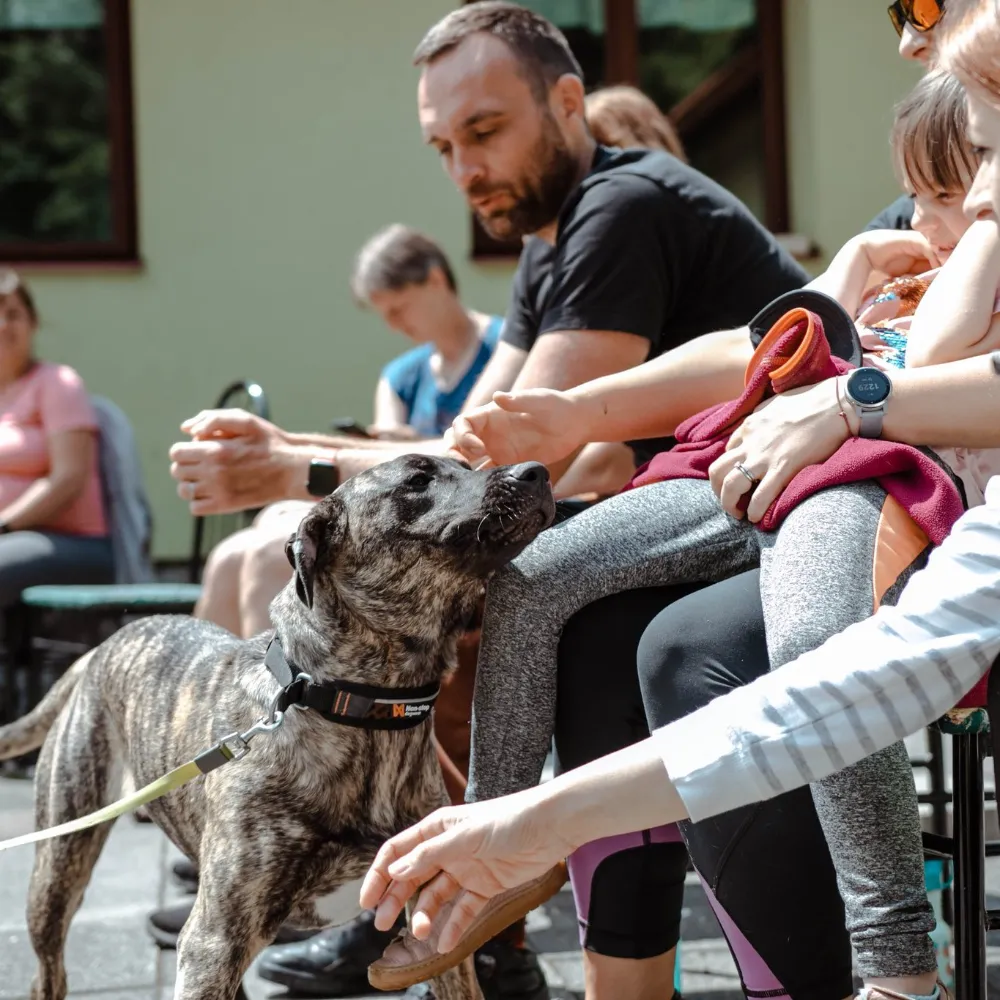 Ukázka práce se psem na víkendovém výcvikovém pobytu